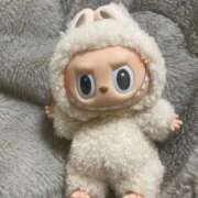 ヒメ日記 2025/12/09 14:34 投稿 茶々丸 チューリップ姫路店