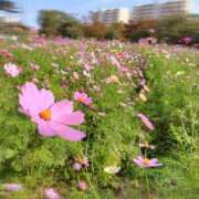 ヒメ日記 2025/12/14 17:05 投稿 すい スパーク日本橋