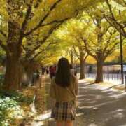 ヒメ日記 2025/11/22 11:28 投稿 橘あさひ MIRAI TOKYO 新宿店