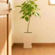 ヒメ日記 2025/12/25 12:28 投稿 薫子(かおるこ) PLUS十三店