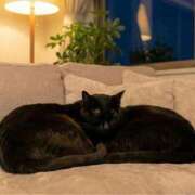 ヒメ日記 2026/01/04 23:28 投稿 薫子(かおるこ) PLUS十三店