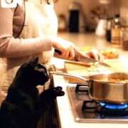 ヒメ日記 2026/02/22 22:08 投稿 薫子(かおるこ) PLUS十三店