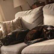 ヒメ日記 2026/03/05 08:04 投稿 薫子(かおるこ) PLUS十三店