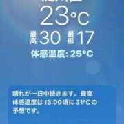 ヒメ日記 2026/05/17 09:58 投稿 薫子(かおるこ) PLUS十三店