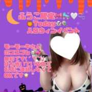 ヒメ日記 2025/10/30 16:20 投稿 ふうこ 山梨甲府甲斐ちゃんこ