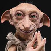 ヒメ日記 2025/10/30 21:37 投稿 ふうこ 山梨甲府甲斐ちゃんこ