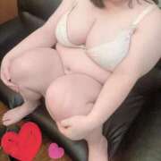 ヒメ日記 2025/11/08 16:45 投稿 ふうこ 山梨甲府甲斐ちゃんこ