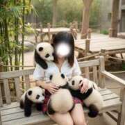 ヒメ日記 2026/09/02 10:17 投稿 ちさと モアグループ南越谷人妻花壇