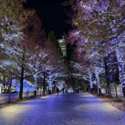 ちか 風邪ひきました😷 横浜人妻セレブリティ（ユメオト）