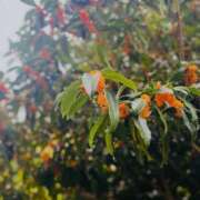 ヒメ日記 2025/10/23 18:41 投稿 あん MIKADO