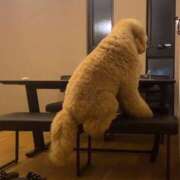 ヒメ日記 2025/10/29 12:21 投稿 あん MIKADO