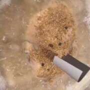 ヒメ日記 2025/11/17 21:50 投稿 あん MIKADO