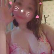 ヒメ日記 2026/03/23 12:16 投稿 あん MIKADO