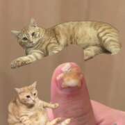 ヒメ日記 2026/01/14 06:16 投稿 ユラノ COCOMERO（ココメロ）