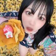 ヒメ日記 2026/03/03 11:01 投稿 ユラノ COCOMERO（ココメロ）