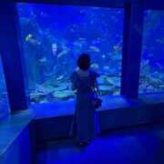 ヒメ日記 2025/10/27 20:01 投稿 ありえる ていくぷらいど.学園