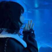 ヒメ日記 2025/11/24 05:30 投稿 ありえる ていくぷらいど.学園