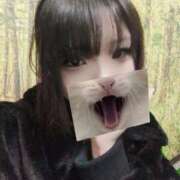 ヒメ日記 2025/12/11 03:04 投稿 竹内みるく 手コキ研修塾