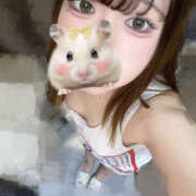 もね もねで〜す ビアガーデンカーニバル