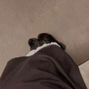 ヒメ日記 2026/02/06 12:00 投稿 あい 深海魚