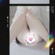 ヒメ日記 2026/03/31 10:27 投稿 たぴ カルテデイズ新宿