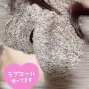 ヒメ日記 2025/11/28 21:18 投稿 新人りか 奥様メモリアル