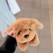 ヒメ日記 2025/12/01 18:01 投稿 あさみ AFTER V（アフターファイブ）