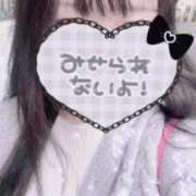 ヒメ日記 2025/11/06 10:52 投稿 いの Beppin house