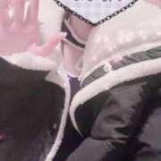 ヒメ日記 2025/12/29 01:40 投稿 いの Beppin house