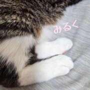 みるく ごめんね 柏人妻花壇