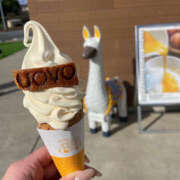 ヒメ日記 2025/12/22 15:22 投稿 みう ハピネス福岡