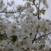 みう 華金の花咲そ♥ ハピネス福岡