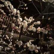 ヒメ日記 2026/02/26 17:47 投稿 りな 秋葉原鑑賞ガール