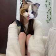 ヒメ日記 2026/03/27 18:07 投稿 りな 秋葉原鑑賞ガール