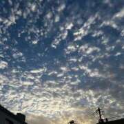 ヒメ日記 2025/11/13 13:19 投稿 いちか 人妻・若妻デリヘル レディプレイス