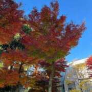 いちか 紅葉がキレイでした🍂 人妻・若妻デリヘル レディプレイス