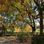 いちか 爽やかな朝ですね☀️ 人妻・若妻デリヘル レディプレイス