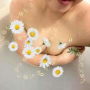 ヒメ日記 2025/12/07 23:34 投稿 いちか 人妻・若妻デリヘル レディプレイス