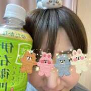 ヒメ日記 2026/01/29 13:55 投稿 いちか 人妻・若妻デリヘル レディプレイス