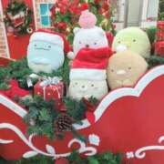 ヒメ日記 2025/12/10 15:04 投稿 ぼたん ぷるるんマダム 難波店