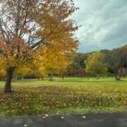 ヒメ日記 2025/11/03 12:02 投稿 指原るり グランエステ東京 品川（シンデレラグループ）