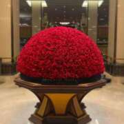 ヒメ日記 2025/12/24 00:45 投稿 指原るり グランエステ東京 品川（シンデレラグループ）