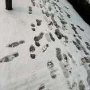 ヒメ日記 2026/02/08 17:02 投稿 指原るり グランエステ東京 品川（シンデレラグループ）