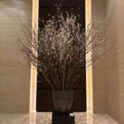 ヒメ日記 2026/03/03 00:01 投稿 指原るり グランエステ東京 品川（シンデレラグループ）