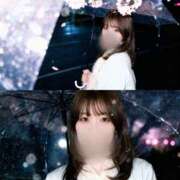 ヒメ日記 2026/04/04 17:03 投稿 指原るり グランエステ東京 品川（シンデレラグループ）