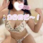 ヒメ日記 2025/11/04 10:53 投稿 くるみ なでし娘