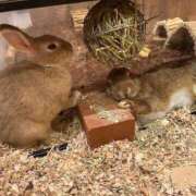 ヒメ日記 2025/12/18 02:29 投稿 ねね 豊満奉仕倶楽部