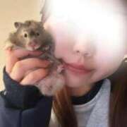 ヒメ日記 2026/01/19 03:29 投稿 ねね 豊満奉仕倶楽部