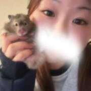 ヒメ日記 2025/11/17 23:07 投稿 ねね 人妻熟女奉仕倶楽部