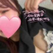 ヒメ日記 2025/11/23 12:32 投稿 ねね 人妻熟女奉仕倶楽部